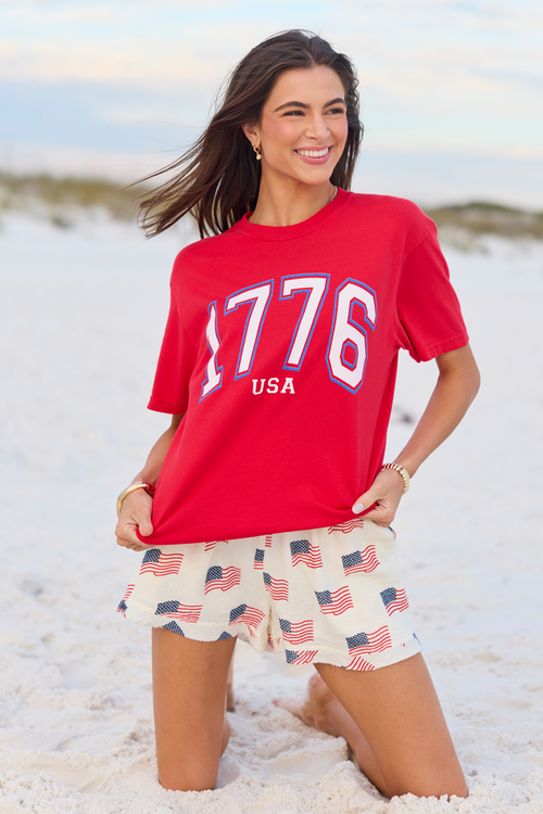 1776 Block USA Red Comfort Colors Graphic Tee